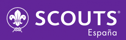 Scouts FEE